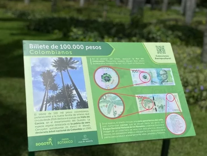 Plantas que valen oro