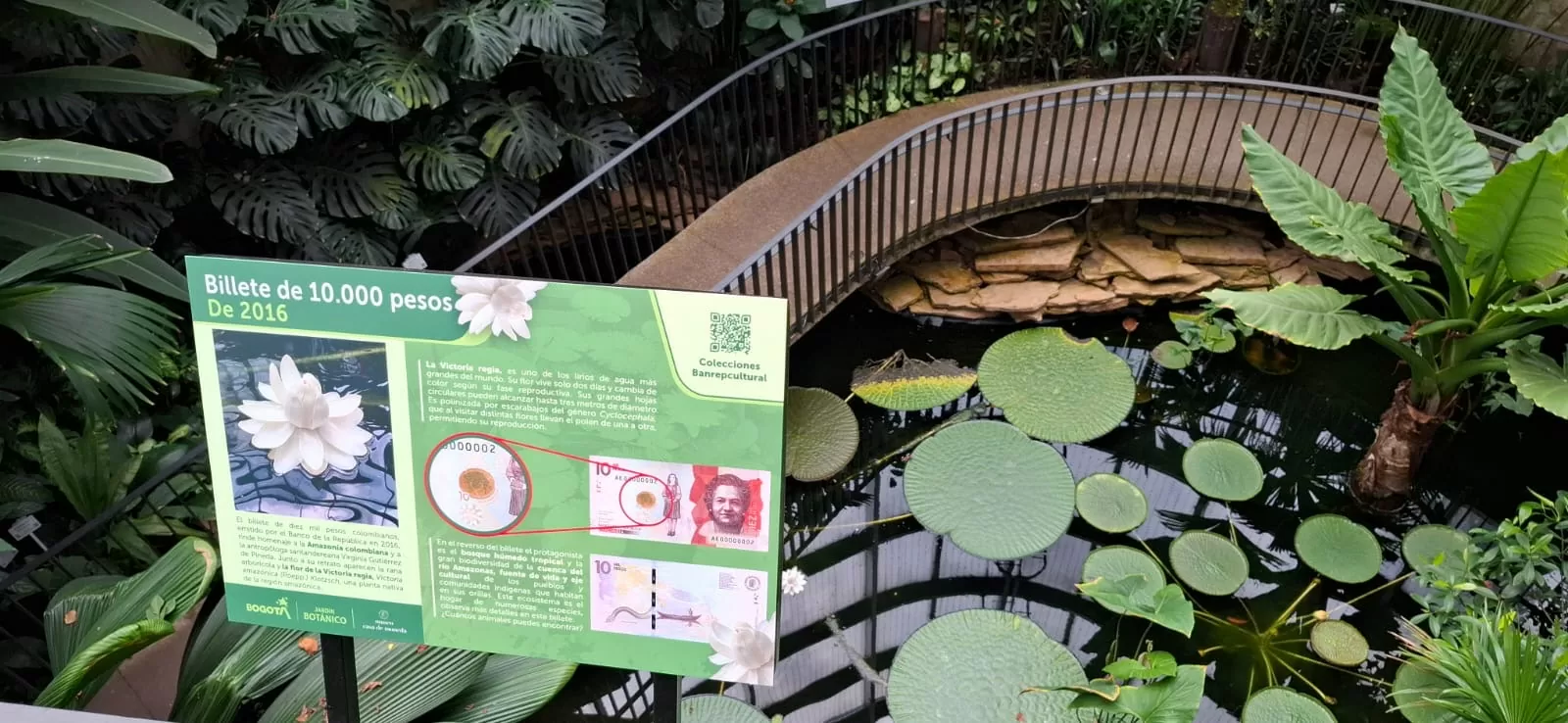 Plantas que valen oro 