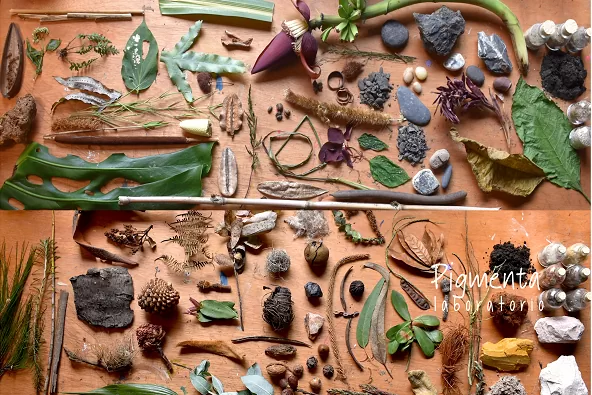 Imagen Laboratorio preguntario natural