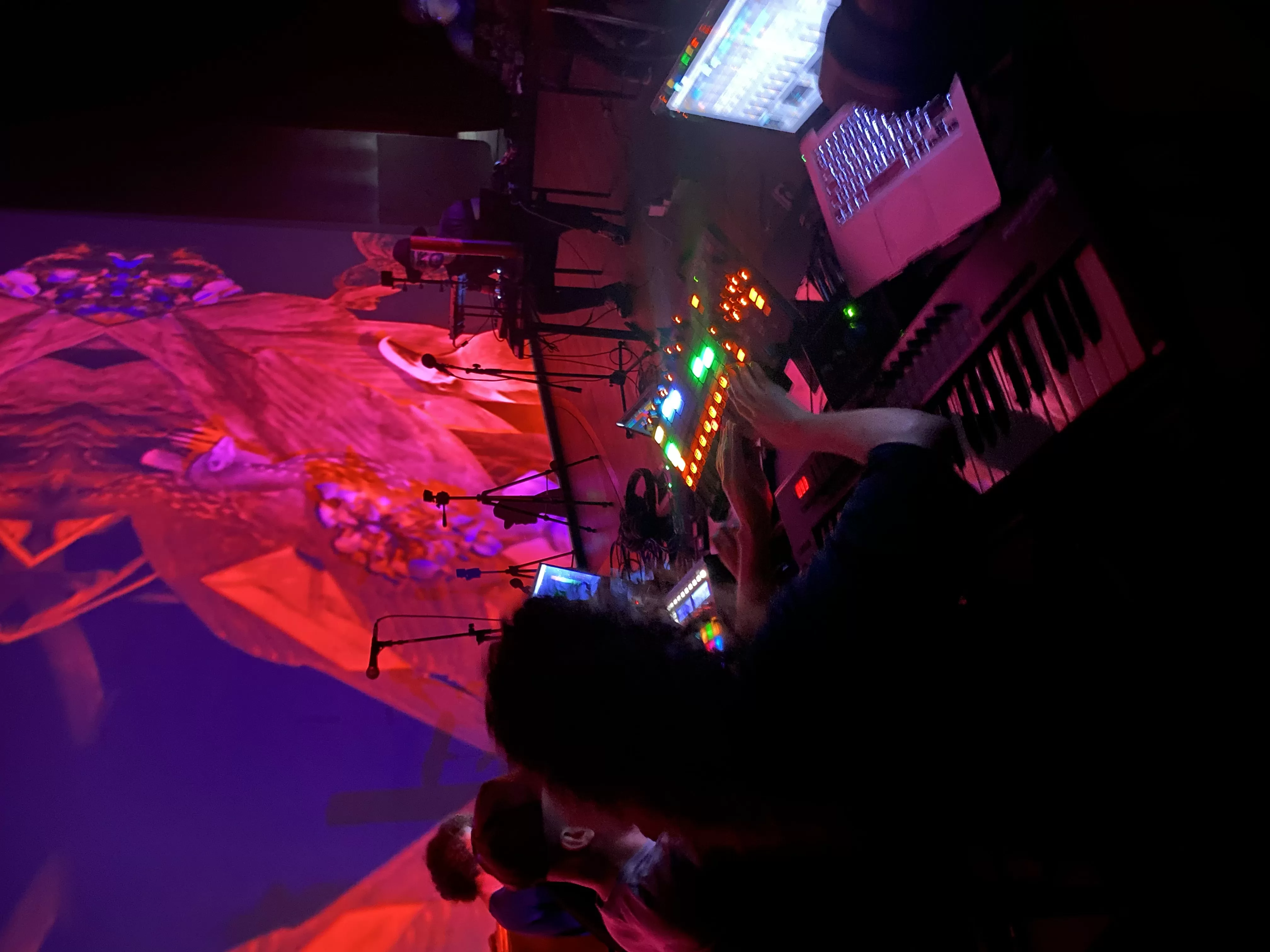 Increíbles voladoras Festival Imagen