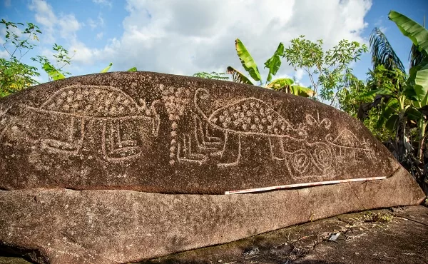  Proyecto de investigación Arte rupestre del río Inírida