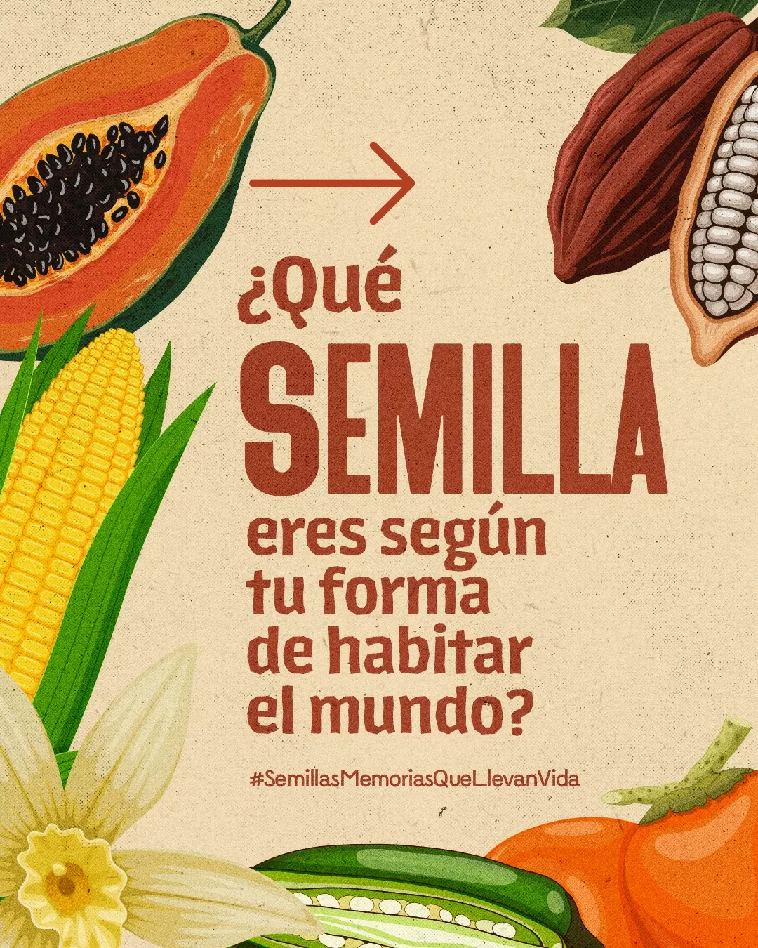 Imágenes de frutos y semillas y el texto: ¿Qué semilla eres según tu forma de habitar el mundo? 