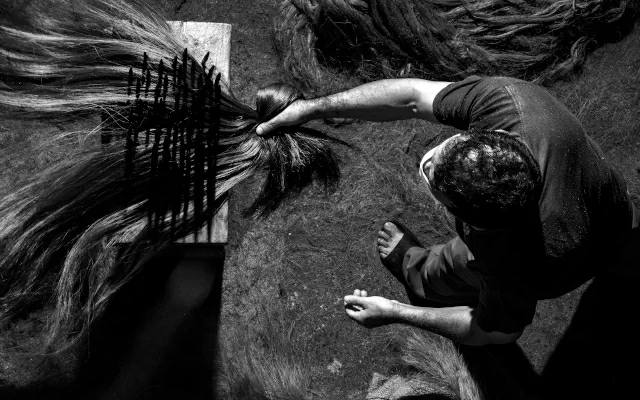 Foto a blanco y negro de Rabo de nube obra de Freddy Barbosa