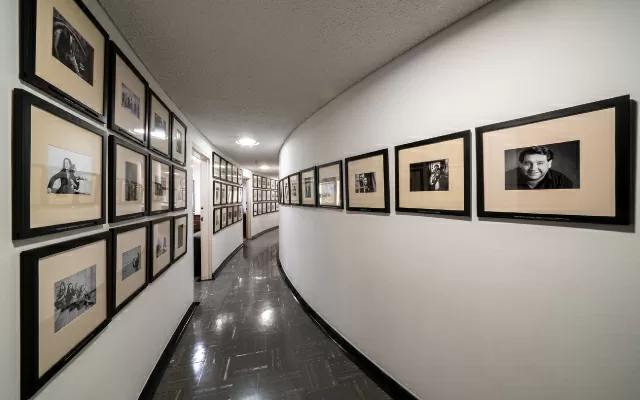 Sala de conciertos de la Biblioteca Luis Ángel Arango BLAA, 2025.