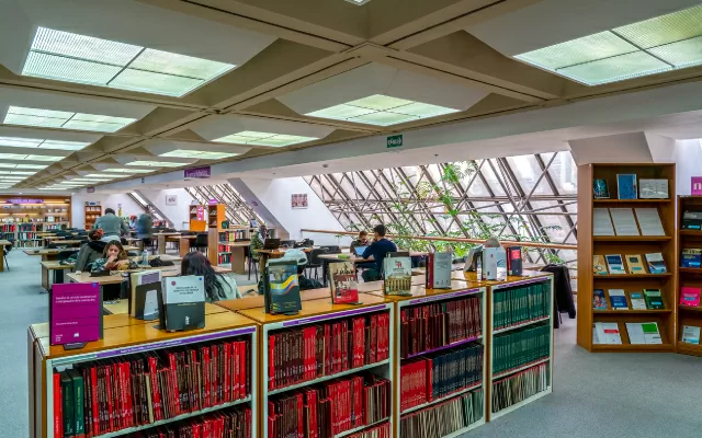 Biblioteca Luis Ángel Arango BLAA, 2025.