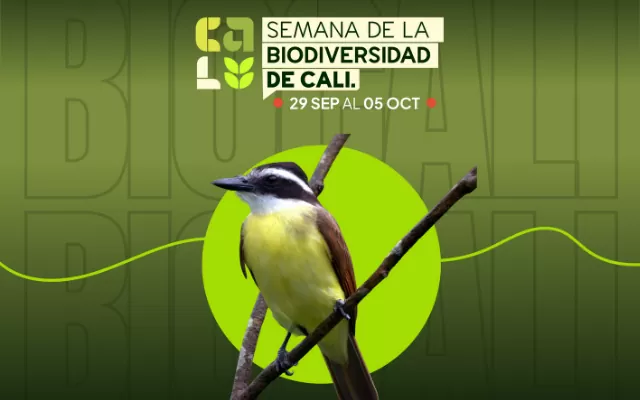 Foto de un pájaro como imagen de la Semana de la Biodiversidad en Cali