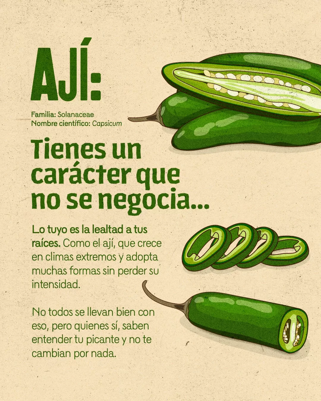 Imagen de ají y el texto: Ají, tienes un carácter que no se negocia...