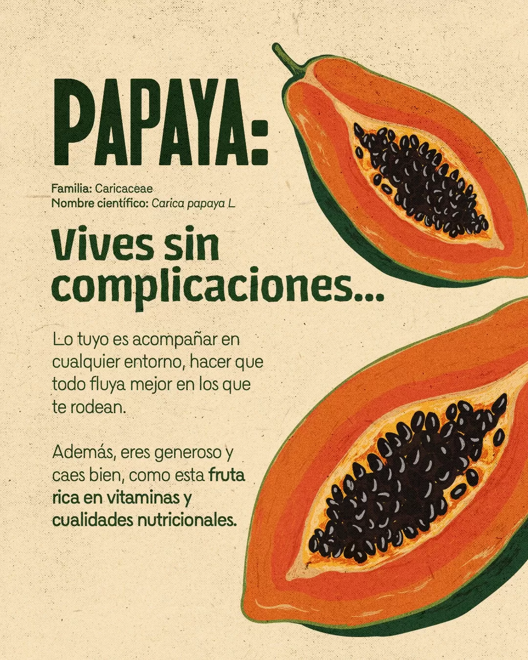 Imagen de semillas de papaya y el texto:Imagen de semillas de papaya y el texto: Papaya, vives sin complicaciones...