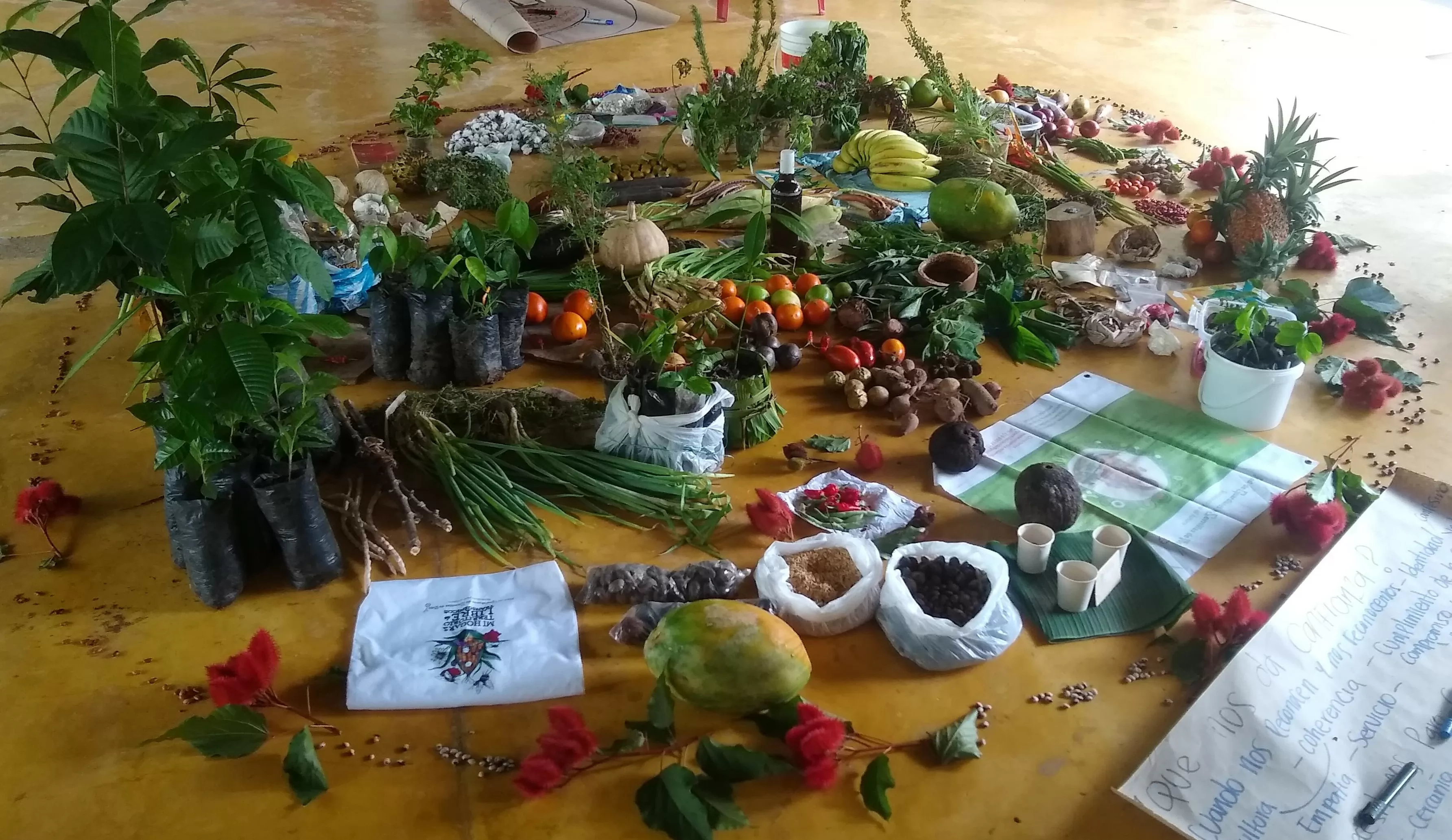 Semillas de guardianes de semillas