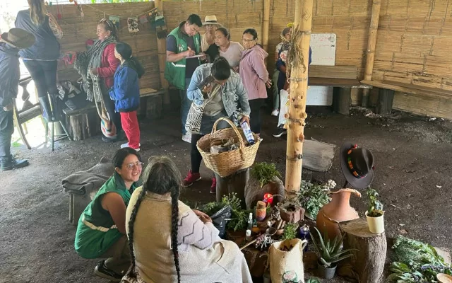 Semillas defensoras de la tierra saberes rurales