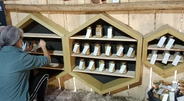 Semillas saberes rurales