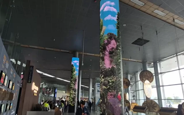 Imagen a color de las obras del Banco de la República en Volarte