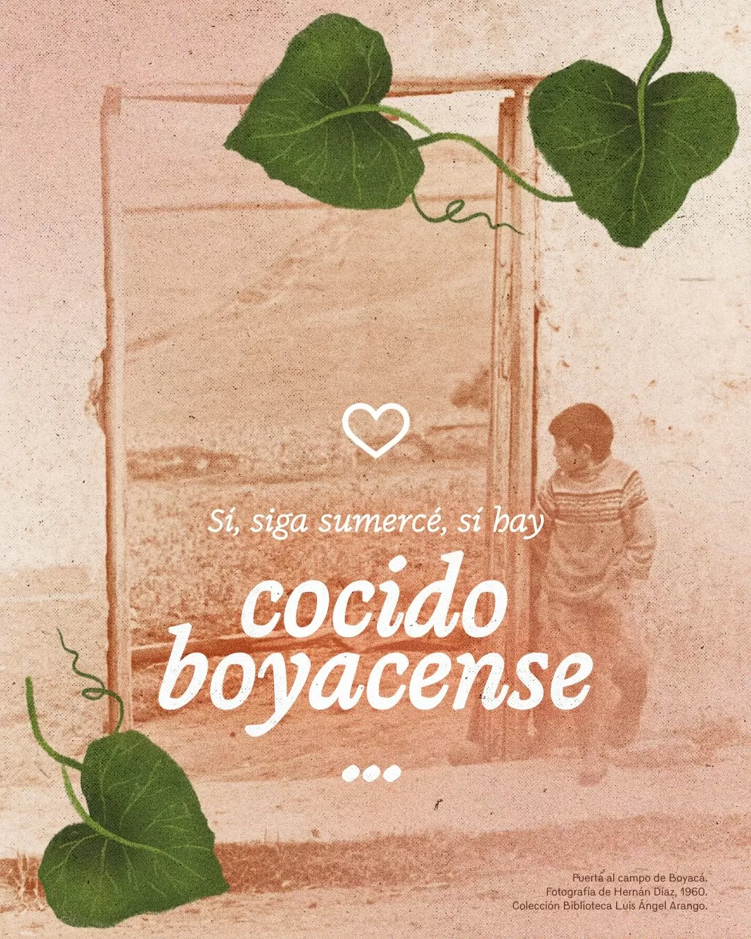 Fotografía de puerta en el campo y el texto: Si, siga sumercé, si hay cocido boyacense 