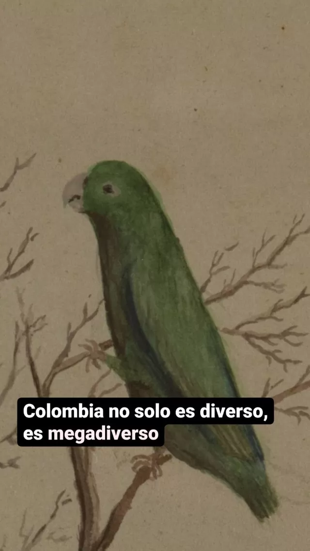 Libro Bicentenario de la Independencia de Colombia 1810-1830 y la fundación de la República