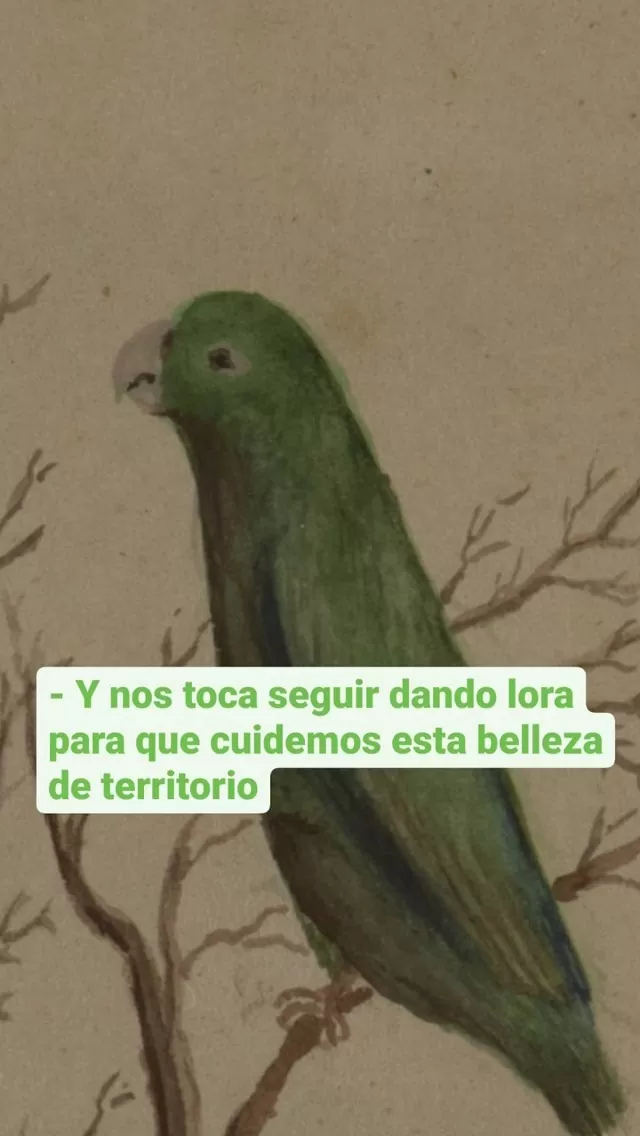 Libro Bicentenario de la Independencia de Colombia 1810-1830 y la fundación de la República