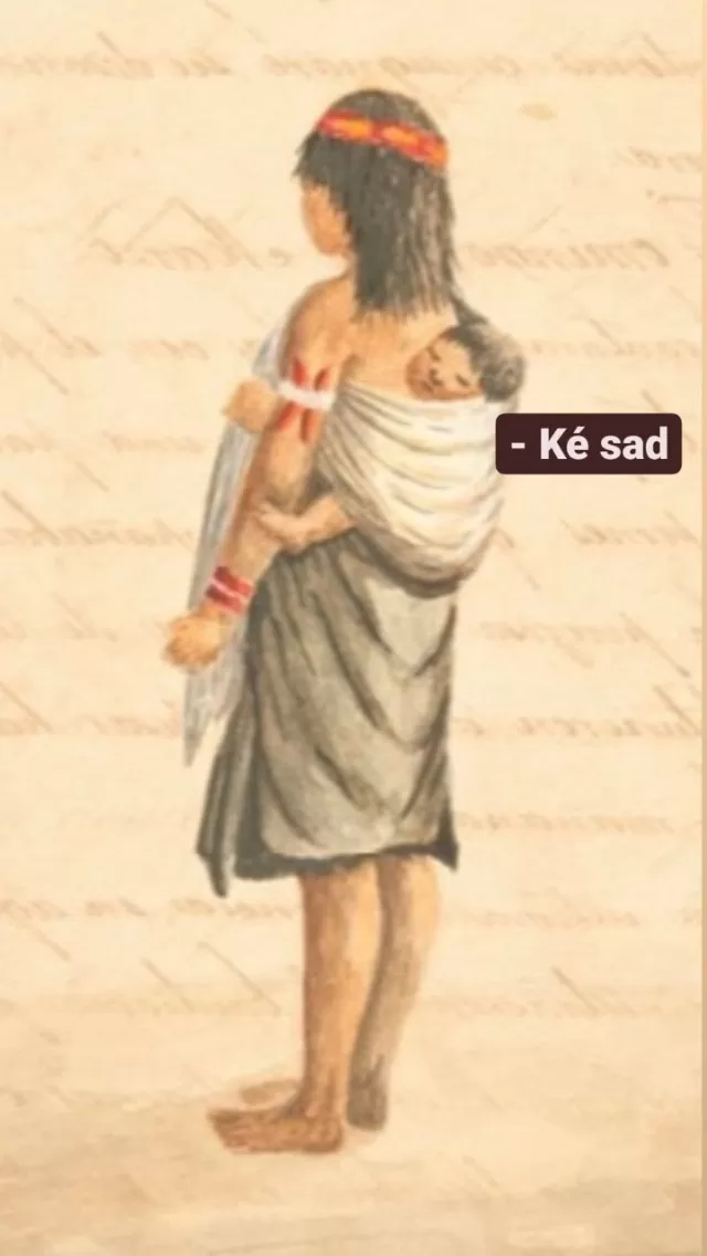 Libro Bicentenario de la Independencia de Colombia 1810-1830 y la fundación de la República