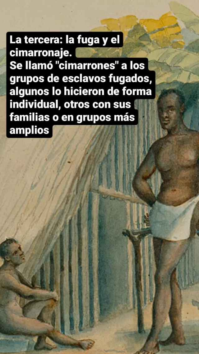 Libro Bicentenario de la Independencia de Colombia 1810-1830 y la fundación de la República