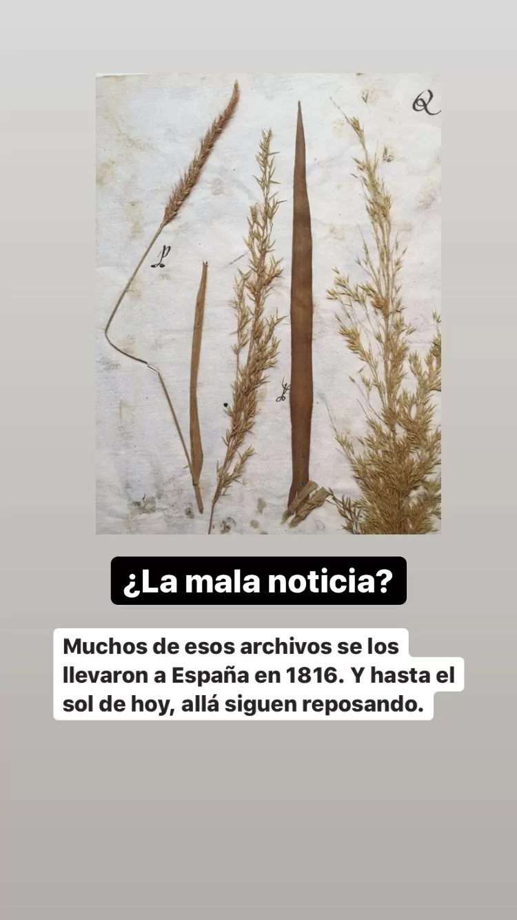 Libro Bicentenario de la Independencia de Colombia 1810-1830 y la fundación de la República