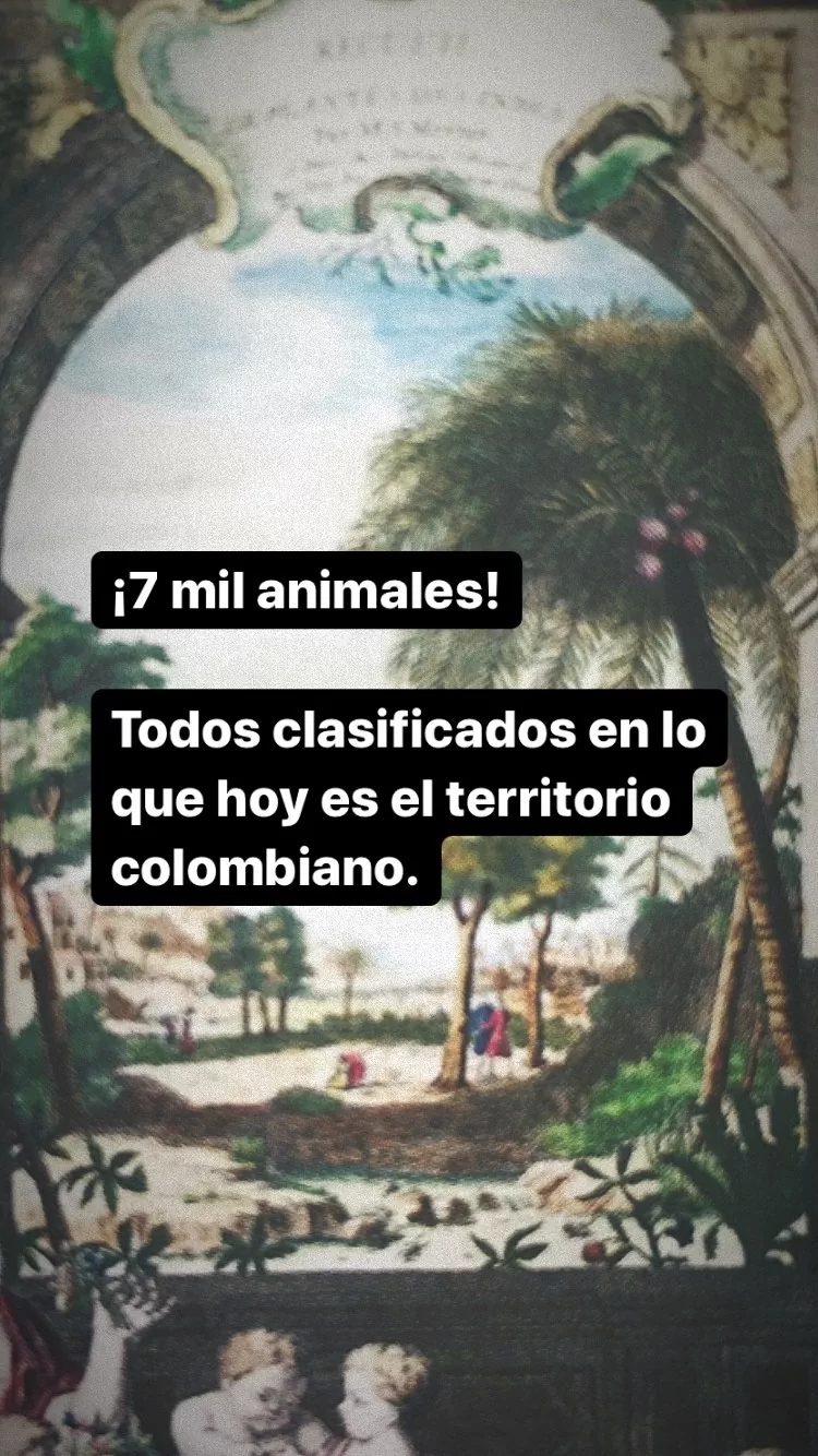 Libro Bicentenario de la Independencia de Colombia 1810-1830 y la fundación de la República