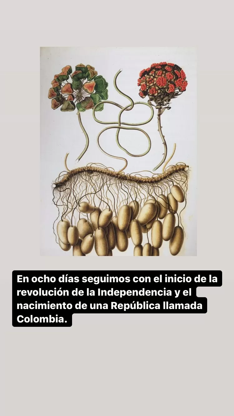 Libro Bicentenario de la Independencia de Colombia 1810-1830 y la fundación de la República