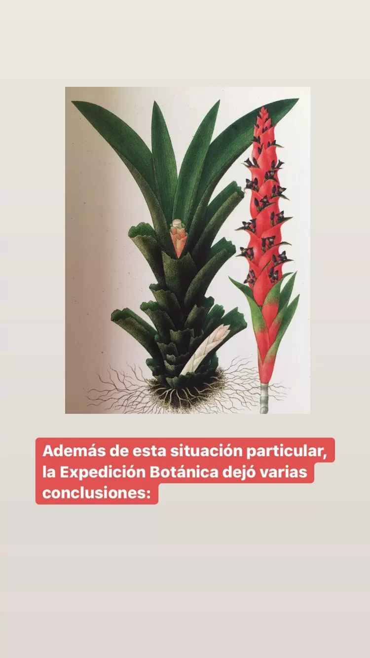 Libro Bicentenario de la Independencia de Colombia 1810-1830 y la fundación de la República