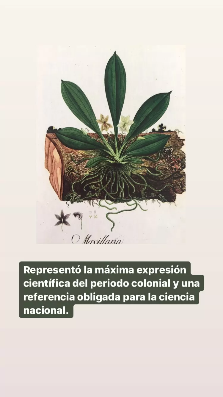 Libro Bicentenario de la Independencia de Colombia 1810-1830 y la fundación de la República