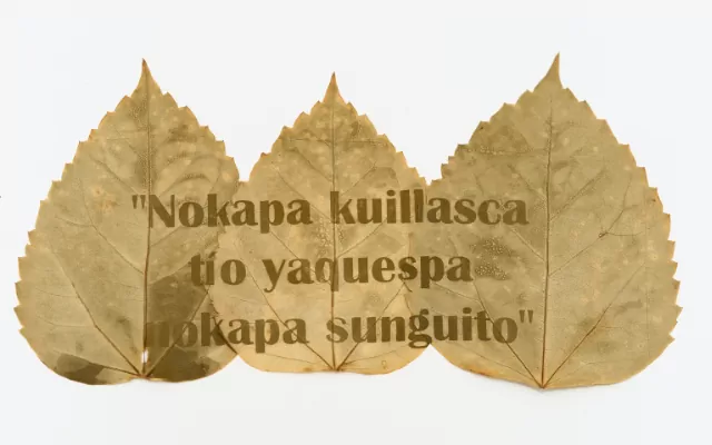 Sofía - Comunidad Inga 