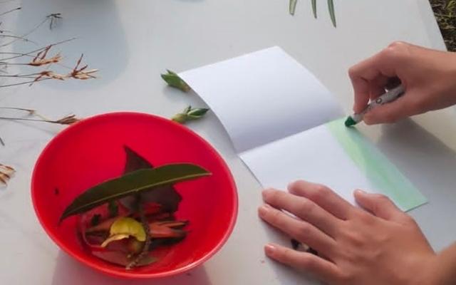 Taller de narrativas naturales al aire libre