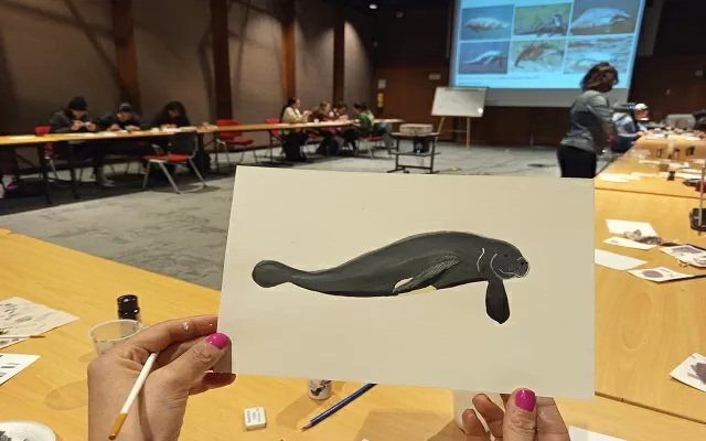 Ilustración de un león de mar del taller IlustraBLAA