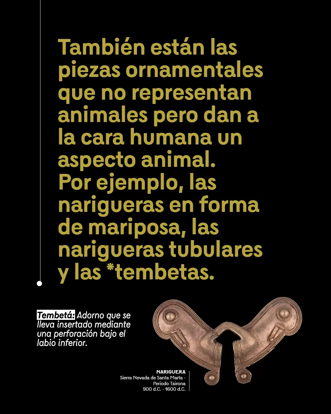 Figura nariguera y el texto: También están las piezas ornamentales que no representan animales pero dan a la cara humana un aspecto animal. Por ejemplo, las narigueras en forma de mariposa, las narigueras tubulares y las tembetas