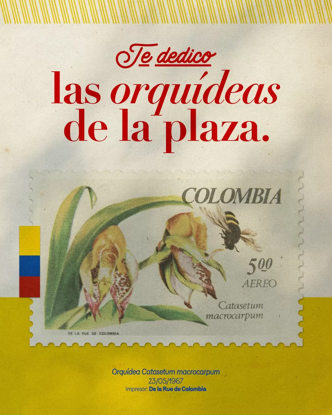 Orquídea Catasetum macrocarpum (23/05/1967)