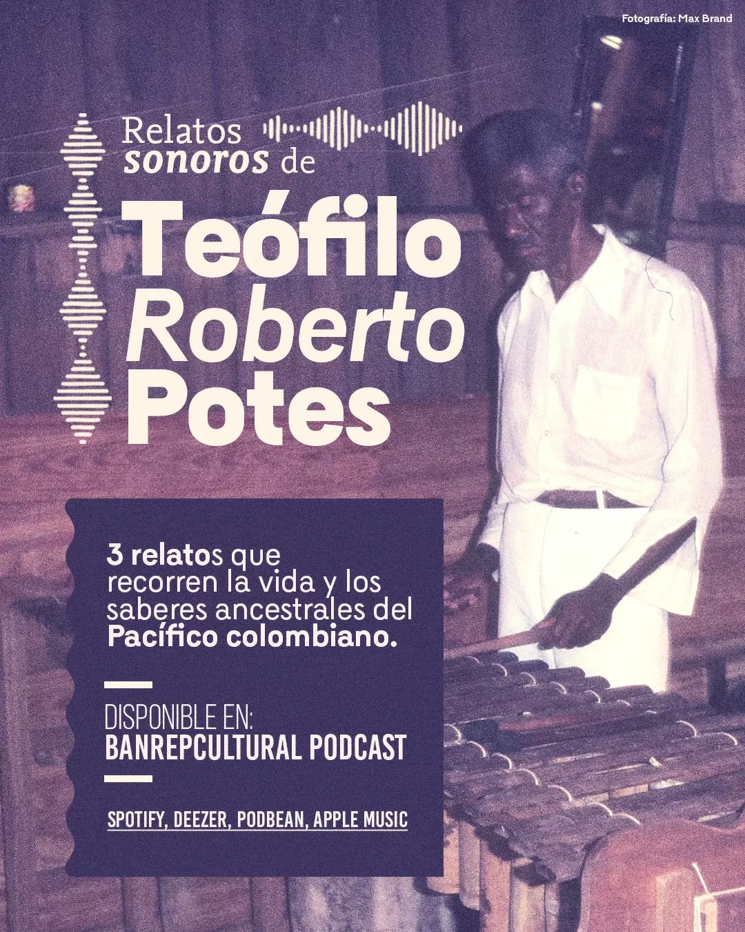 Imagen sobre el archivo de Teófilo Roberto Potes en Buenaventura