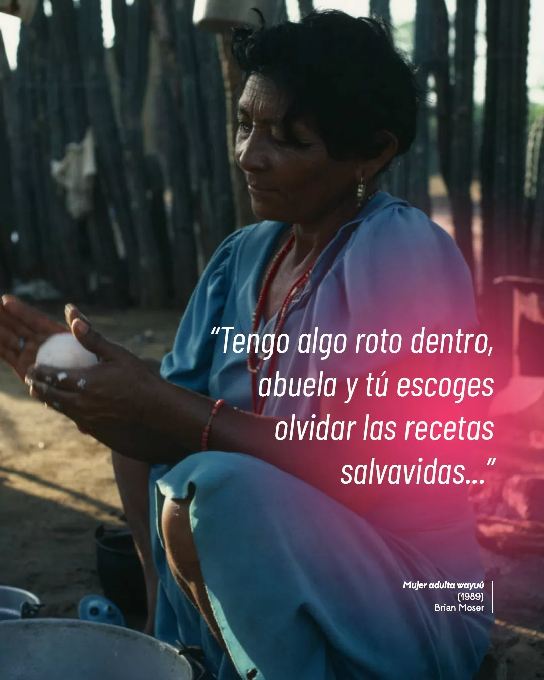 Fotografía de mujer adulta wayuú y el texto: "Tengo algo roto dentro, abuela y tú escoges olvidar las recetas salvavidas..."