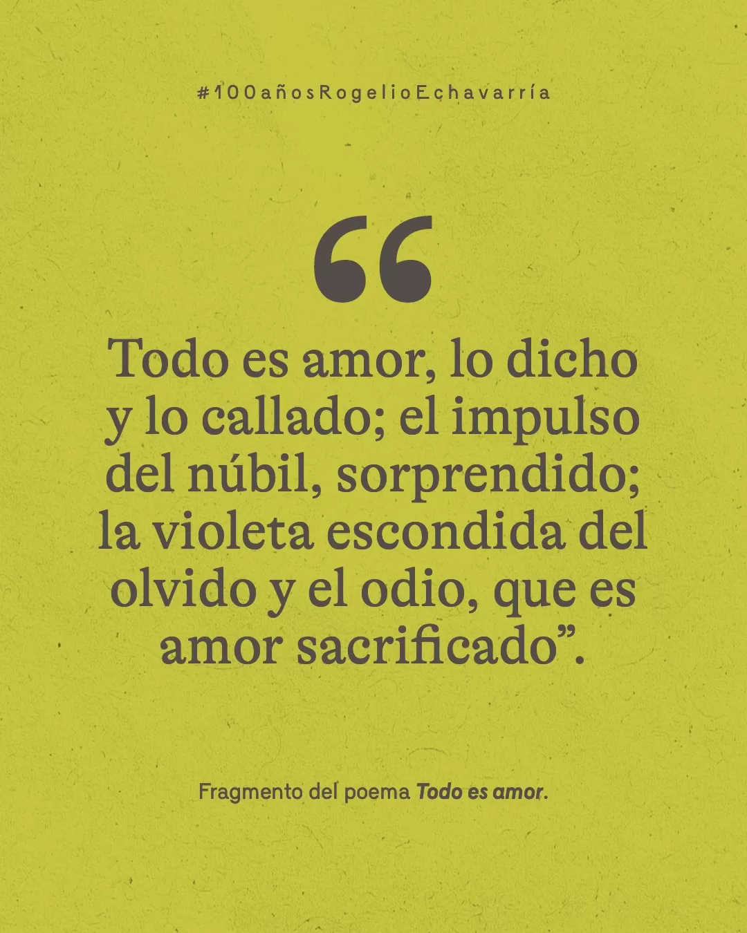 Fondo verde con letras grises y el texto: "Todo es amor, lo dicho y lo callado; el impulso del núbil, sorprendido; la violeta escondida del olvido y el odio, que es amor sacrificado". Fragmento del poema Todo es amor