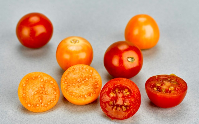 Frutos de tomate cherry (Solanum pimpinellifolium), los rojos, y de uchuvas (Physalis peruviana L.), las anaranjadas. 