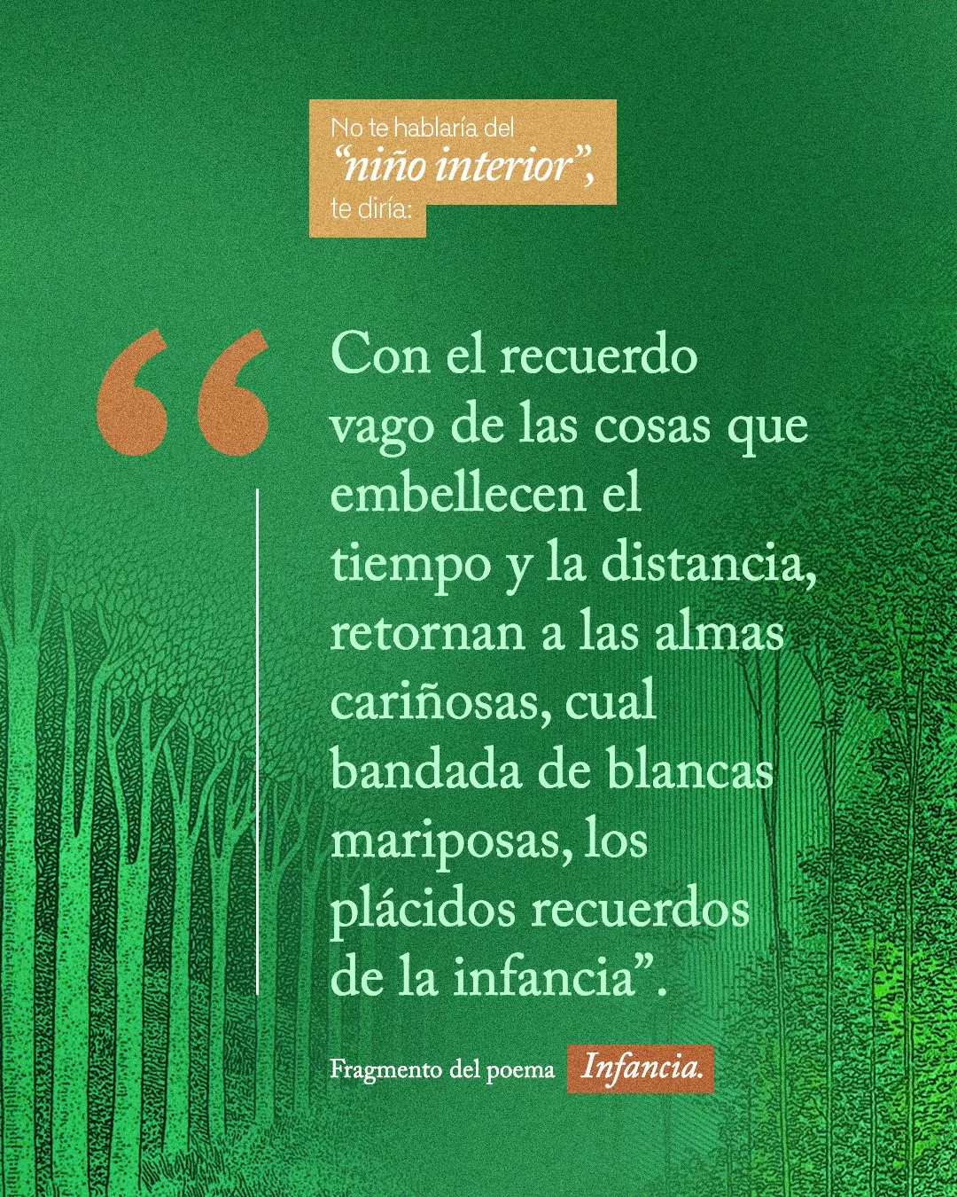 No te hablaría del "niño interior" te diría. Fragmento del poema Infancia.