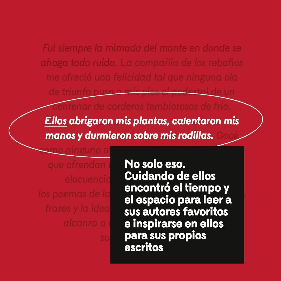 Imagen de fondo rojo y el texto: Ellos abrigaron mis plantas
