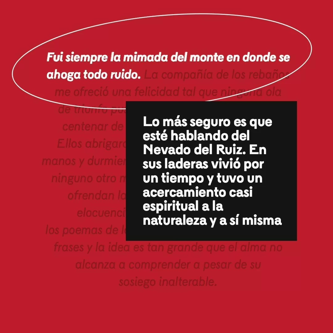 Texto en fondo blanco y letras blancas con el resaltado: Fui siempre la mimada del monte en donde se ahoga todo ruido
