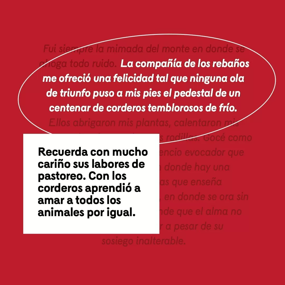 Imagen de fondo rojo y el texto: La compañía de lo rebaños