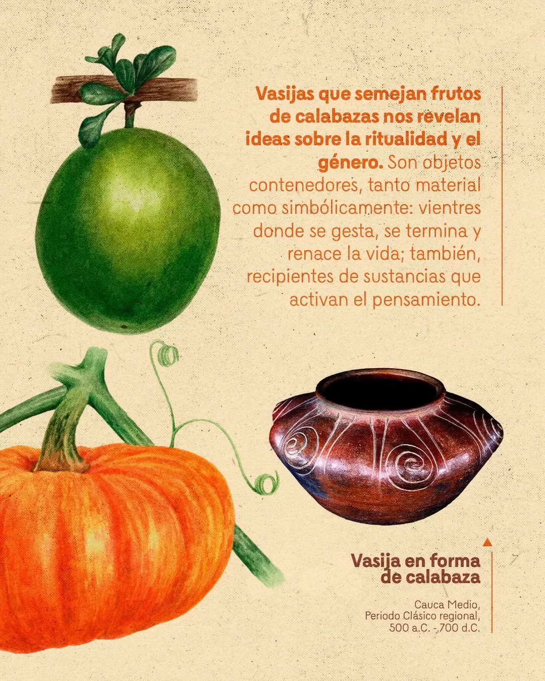 Ilustración de calabaza y el texto: Vasijas que semejan frutos de calabazas nos revelan ideas sobre ritualidad y el género