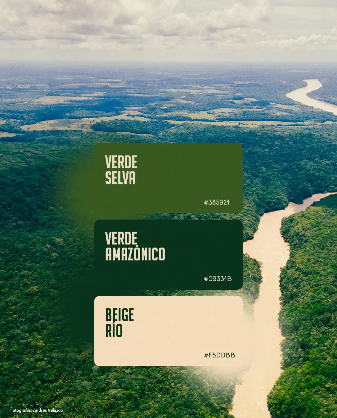 Fotografía de la Serranía de La Lindosa y el texto: Verde selva, verde amazónico y beige río