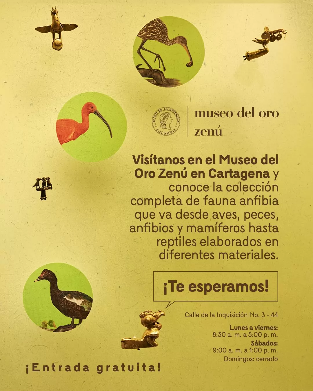 Imagenes y piezas de aves y el texto: Visítanos en el Museo del Oro Zenú en Cartagena y conoce la colección completa de fauna anfibia que va desde aves, peces, anfibios y mamíferos hasta reptiles elaborados en diferentes materiales ¡Te esperamos!