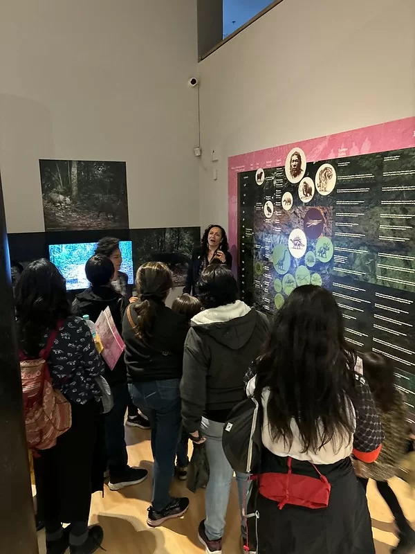 Visita guiada La Lindosa 3_