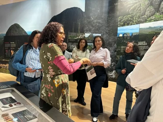 Visita guiada exposición temporal La Lindosa