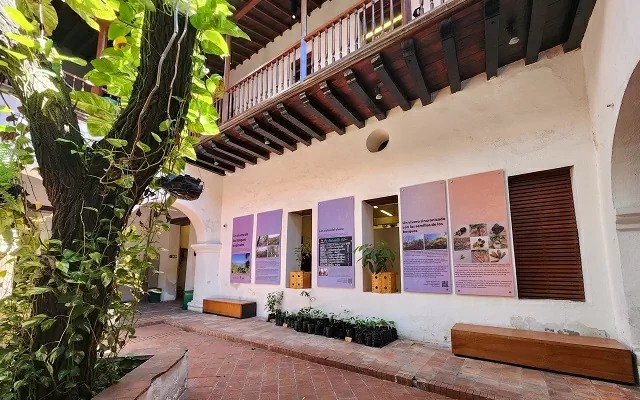 Paneles del vivero implantado en el Museo del Oro Tairona