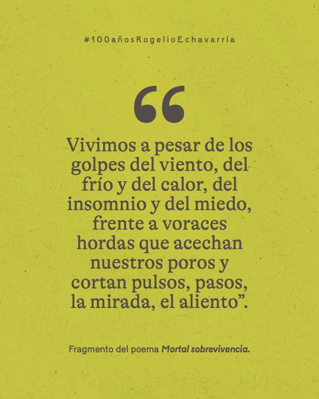 Fondo verde y letras grises con el texto: "Vivimos a pesar de los golpes del viento, del frío y del calor, del insomnio y del miedo, frente a voraces hordas que acechan nuestros poros y cortan pulsos, pasos, la mirada, el aliento". Fragmento del poema Mortal sobrevivencia 