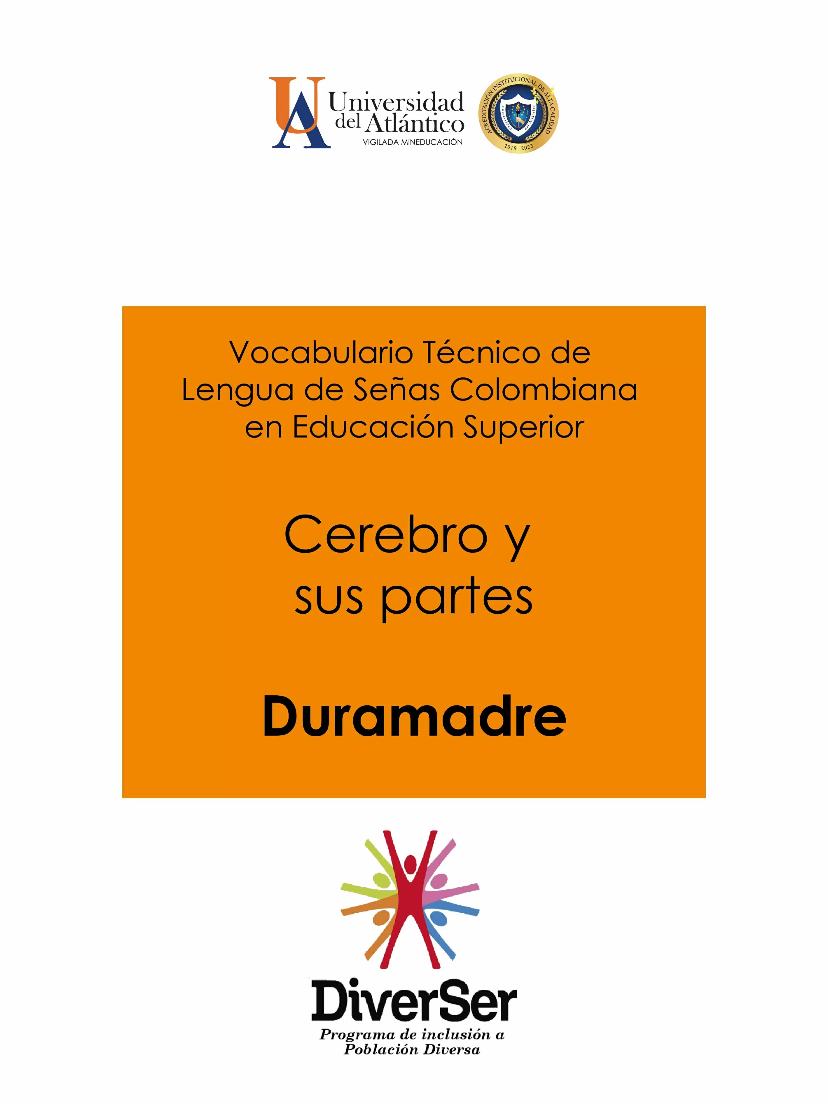 Vocabulario técnico de lengua de señas colombiana en educación superior