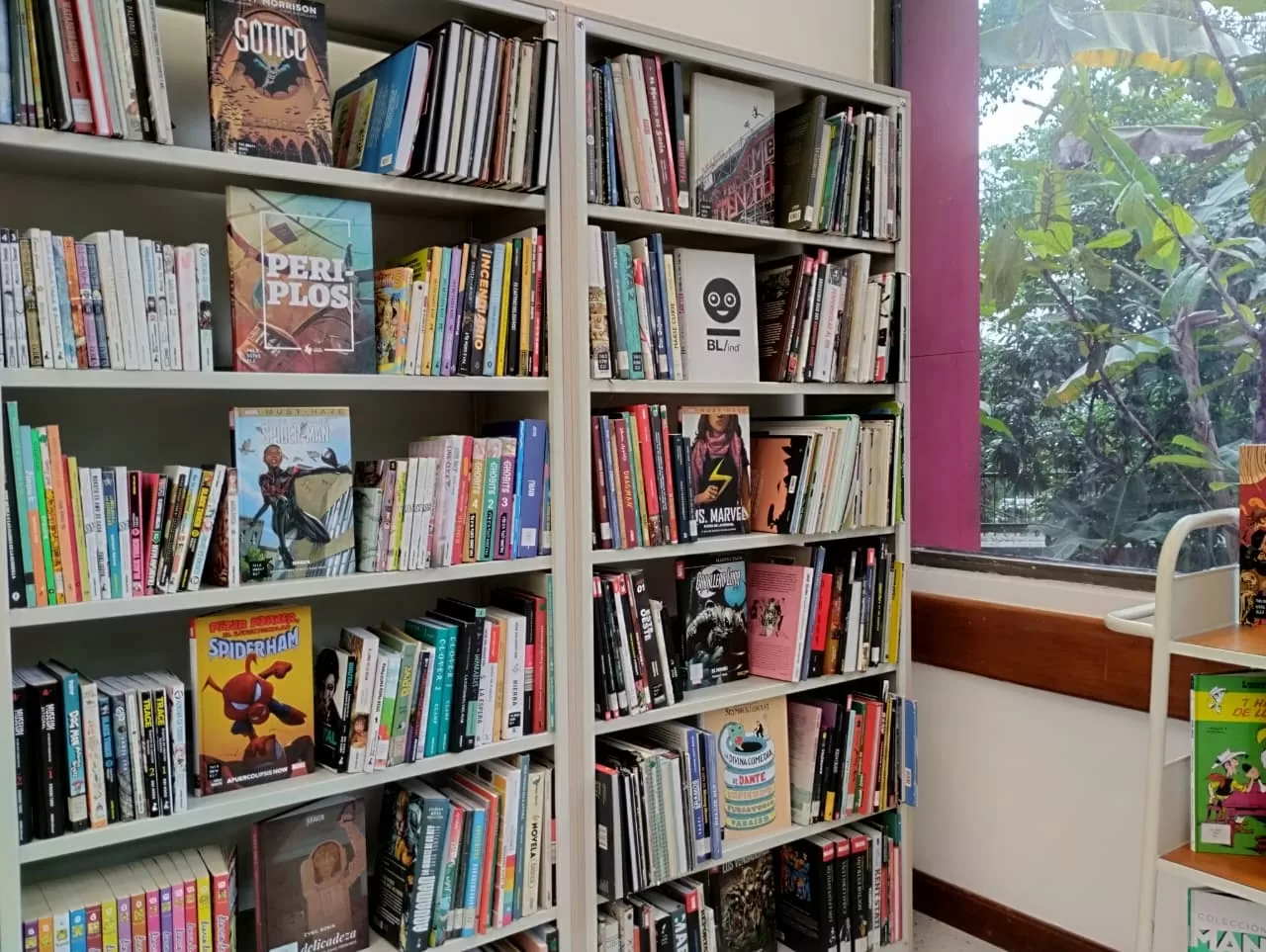 Foto de estante de biblioteca con libros de cómic