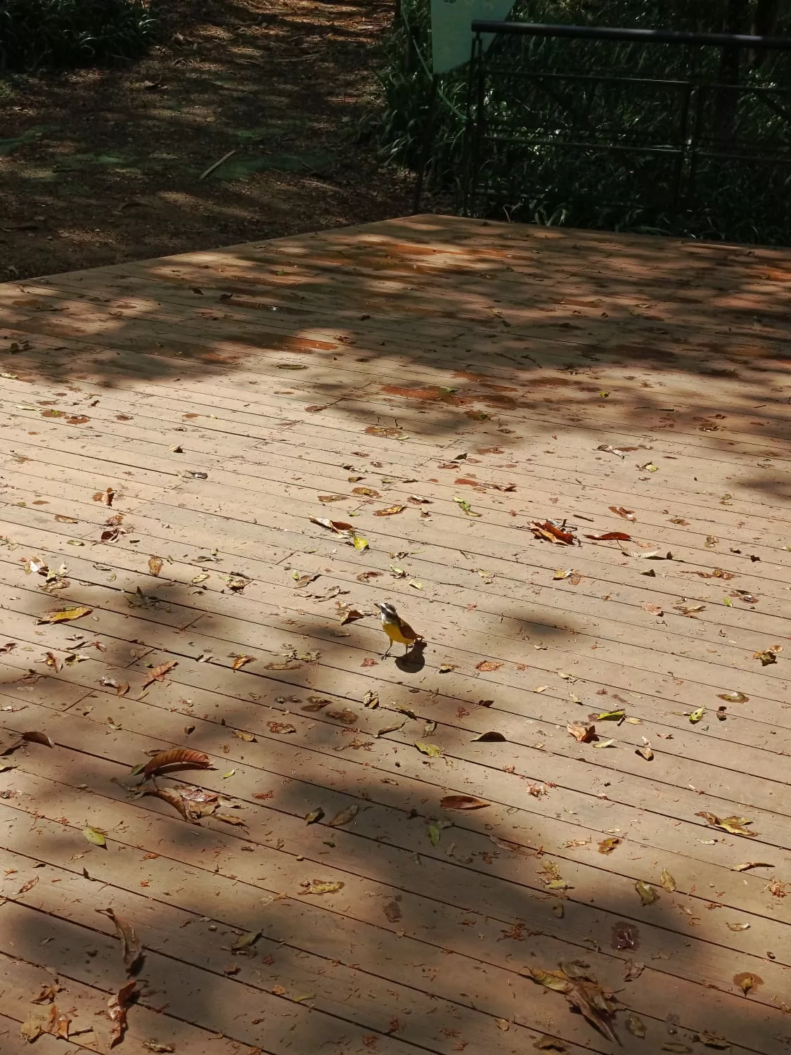 Taller de poesía BBC