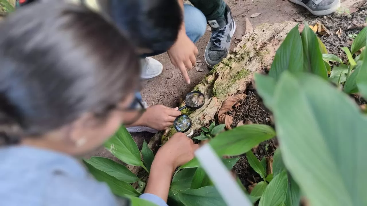 Niños viendo líquenes con lupas Leticia
